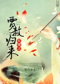 红楼之贾赦归来